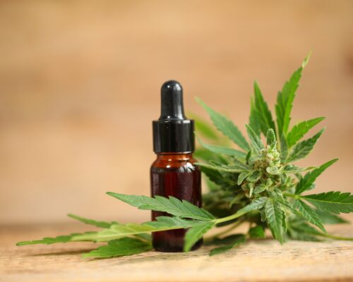 CBD Olje – Et Plantebasert Valg For Moderne Velvære