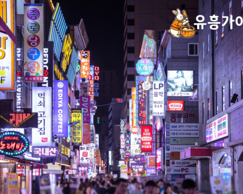 서울유흥 바로가기, 지역별 특성을 고려한 업소 선택 가이드